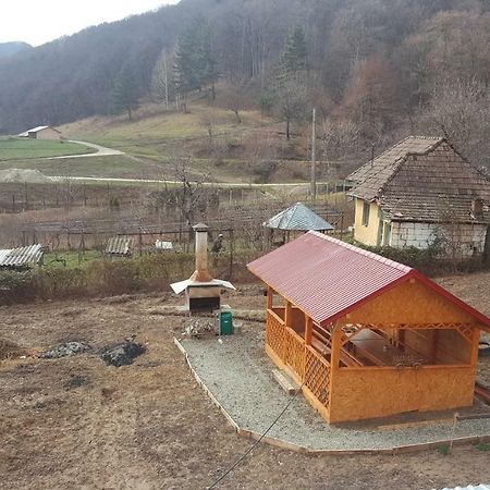 Отель Casa Dodoc Качулата Экстерьер фото